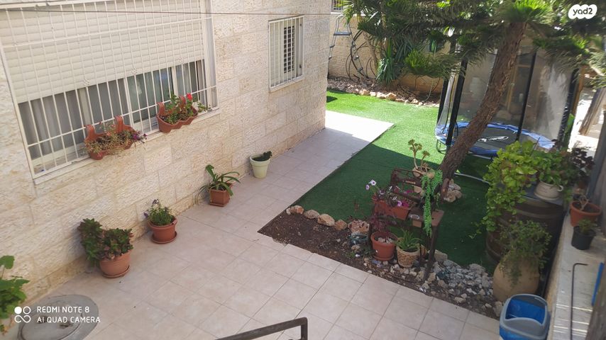יערות דבש 3