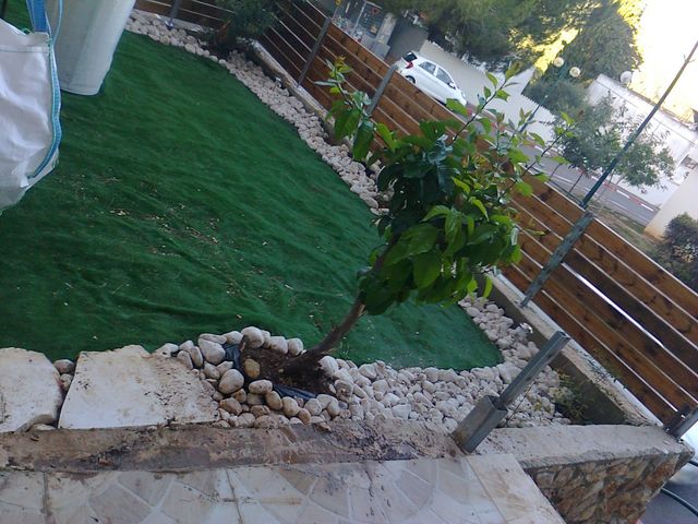 דירה, קרן היסוד 6, הסגליות, מעלות תרשיחא