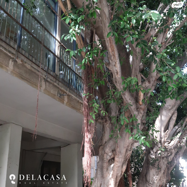 דירה, ברנר, לב תל אביב, לב העיר צפון, תל אביב יפו