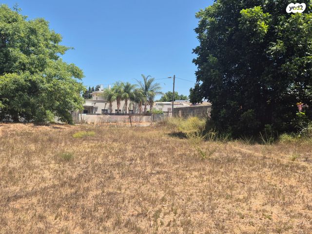 מגרשים, החרובים, בית אליעזר, חדרה