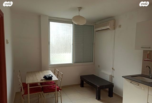 דירה, עמוס, בן דור, נשר