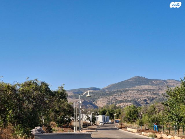 מגרשים