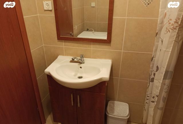 דירה, עמוס, בן דור, נשר