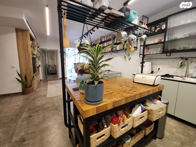 דירה, שושנים, אלקנה