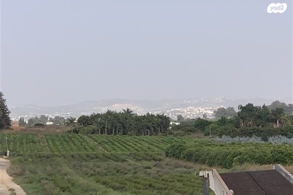 משק חקלאי/ נחלה