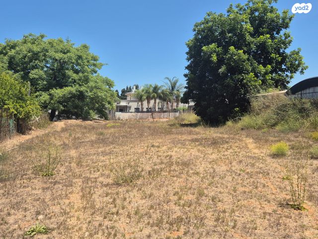 מגרשים, החרובים, בית אליעזר, חדרה