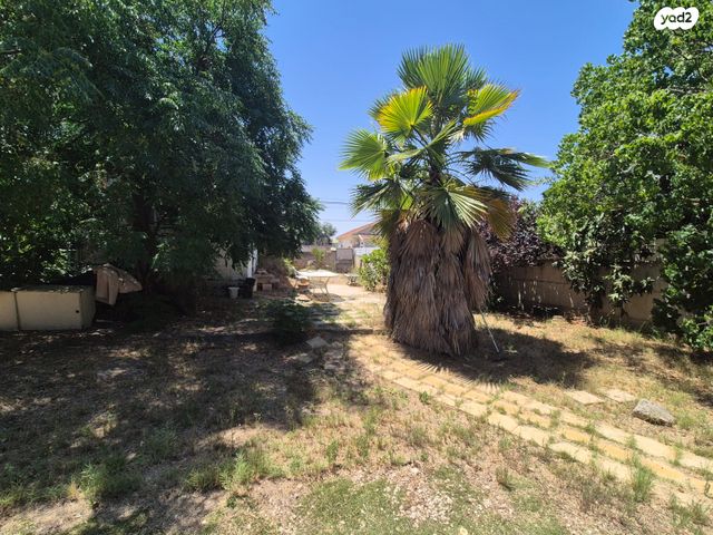 מגרשים, החרובים, בית אליעזר, חדרה