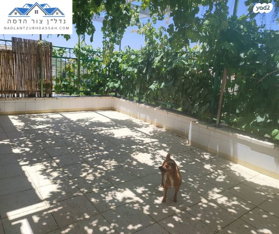 דו משפחתי, צור הדסה