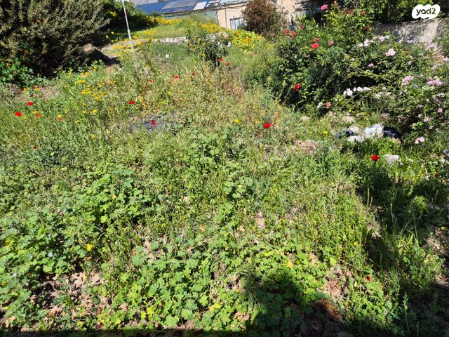 מגרשים, קרית טבעון