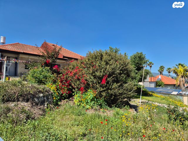 מגרשים, קרית טבעון