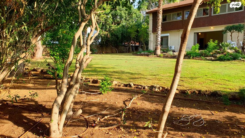 בית פרטי/ קוטג', הרצליה פיתוח, הרצליה