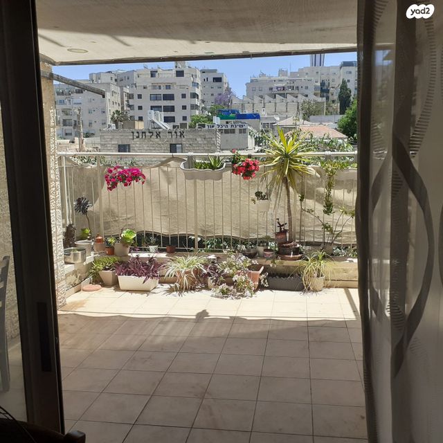 דירה, גרייבסקי, ירושלים