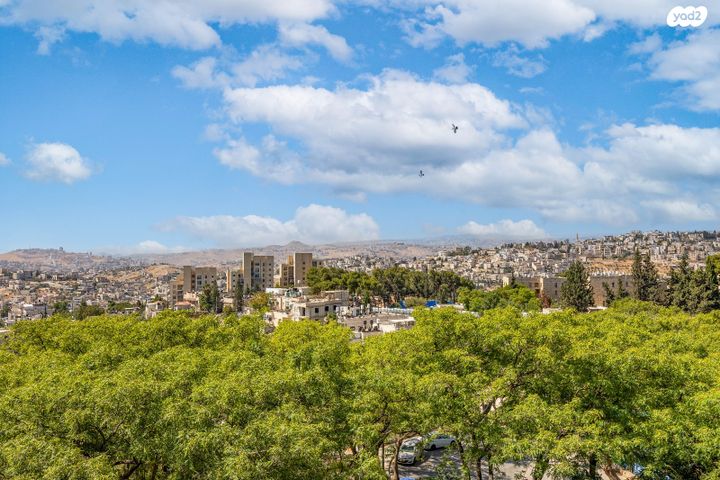 דירה, מאיר נקר, ארמון הנציב, תלפיות מזרח, ירושלים