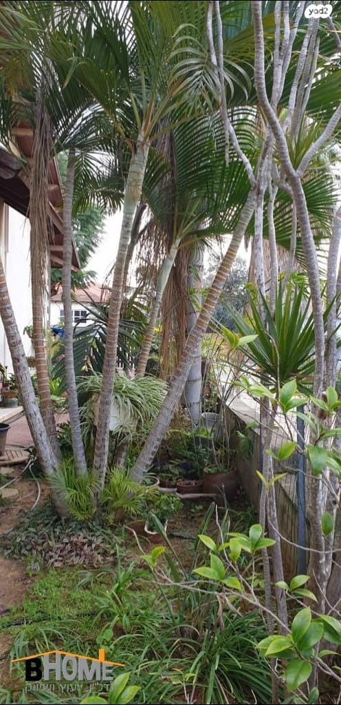 בית פרטי/ קוטג', סלעית 22, עין שריד