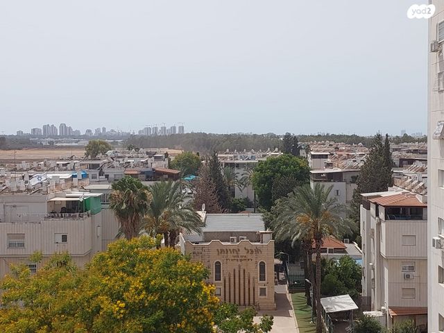 חללי אגוז 17