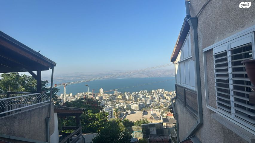 שקד 