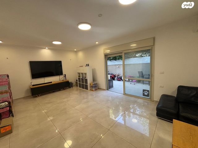 שלמה שדרוביצקי 