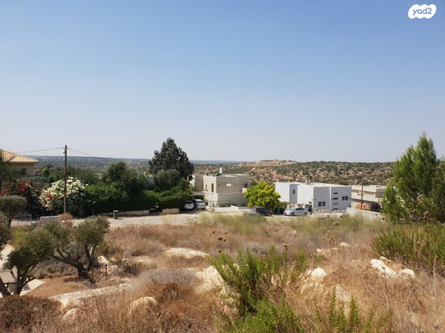 אדרת 