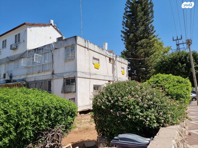 וייצמן 16