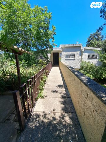 השקדים 59