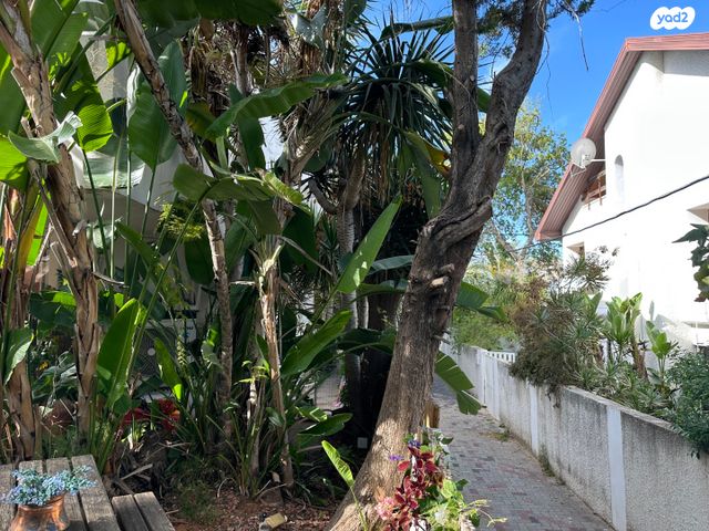 בית פרטי/ קוטג', הרצליה