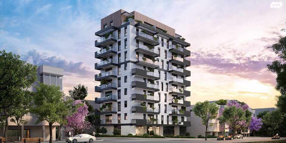 יגאל אלון 12