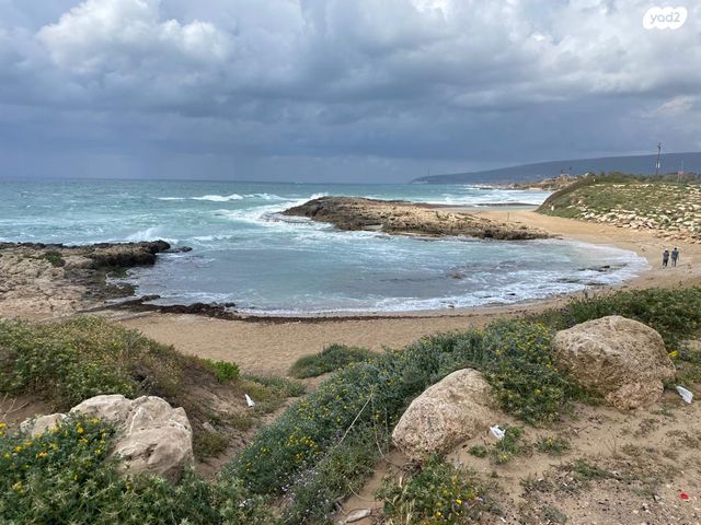 דירה, דוגית, אכזיב, נהריה