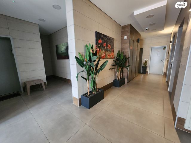 דירה, כלנית, הפרחים, חריש