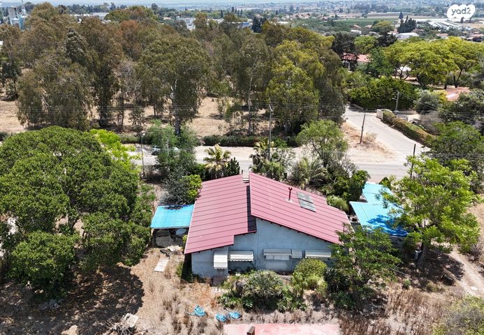 מגרשים, משגב דב