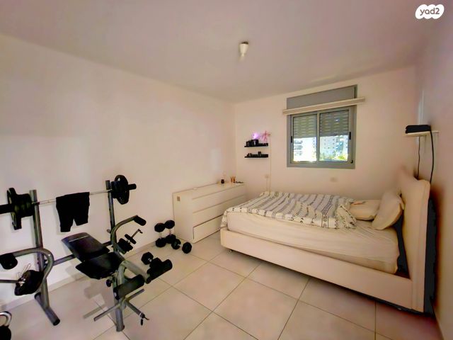 דירה, אריאל שרון, החותרים, טירת כרמל