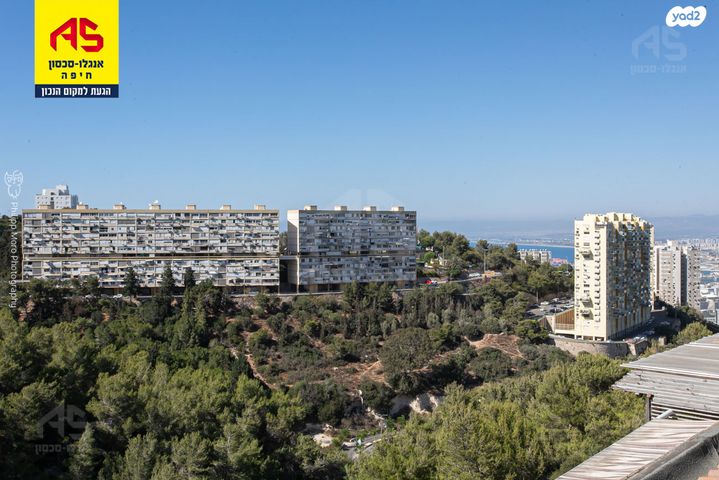 דירת גן, צבעוני, ורדיה, חיפה