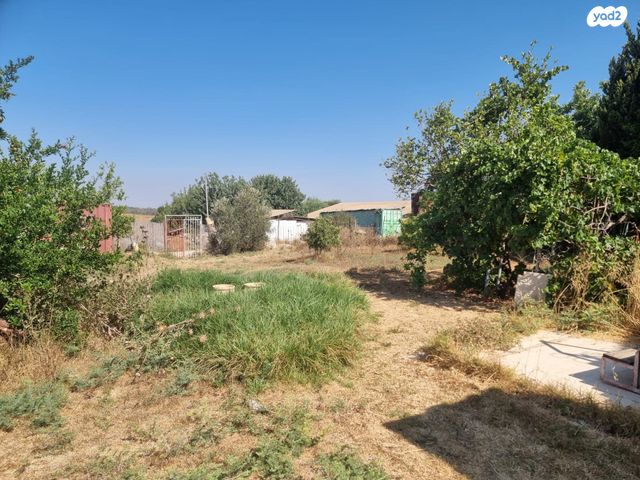 משק חקלאי/ נחלה, גפן