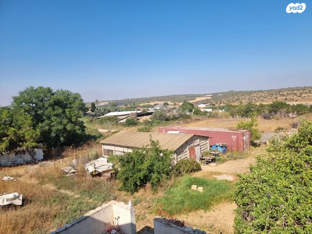 משק חקלאי/ נחלה, גפן