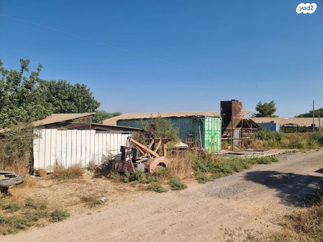 משק חקלאי/ נחלה, גפן