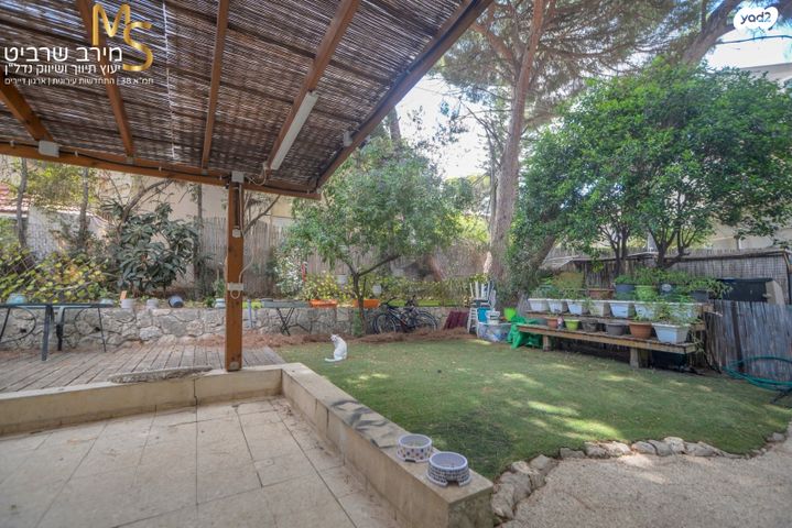 ש. בן ציון 