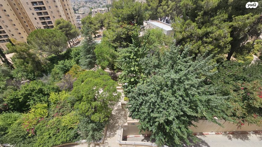 דירה, אברהם פררה, הולילנד, ירושלים