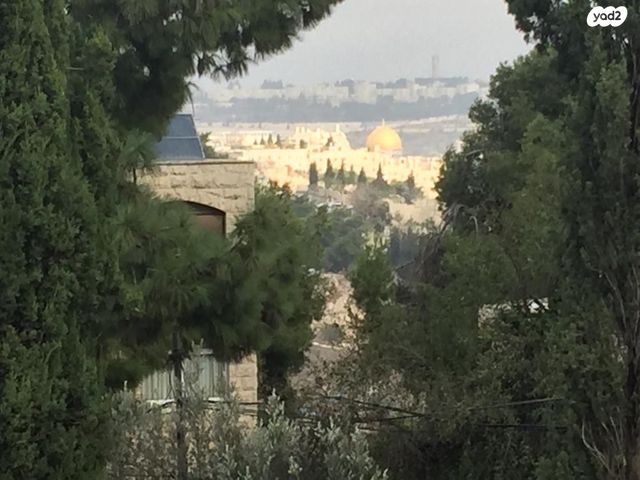 דופלקס