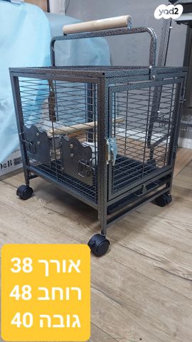 תמונת מודעה - חיות מחמד