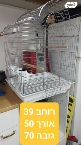 תמונת מודעה - חיות מחמד