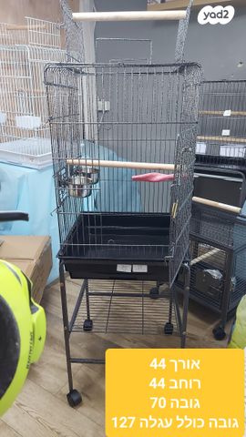 תמונת מודעה - חיות מחמד