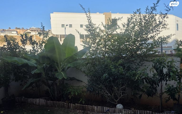 שושנים 13