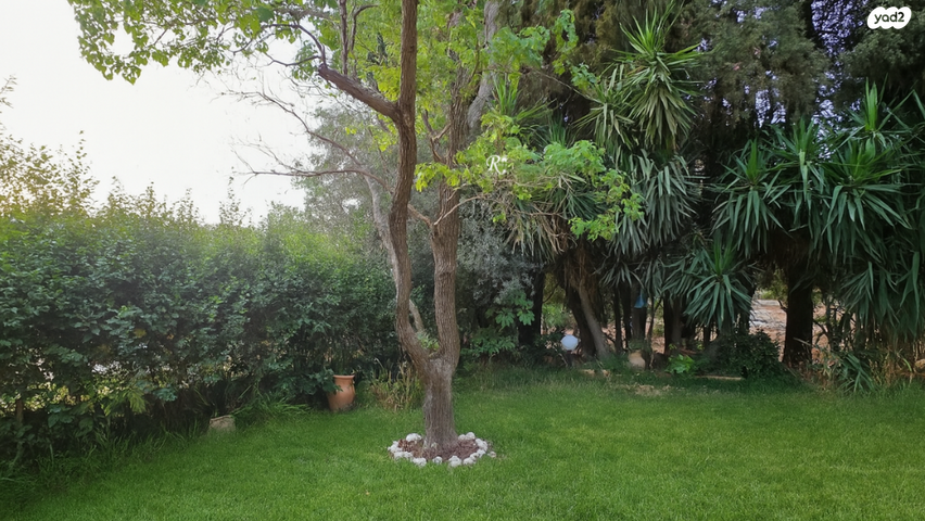 בית פרטי/ קוטג'