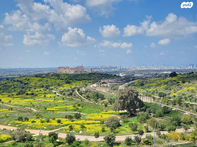 שדרות בן גוריון 