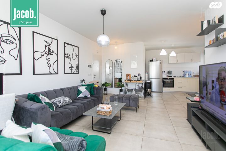 גג/ פנטהאוז, שדרות מנחם בגין, החותרים, טירת כרמל