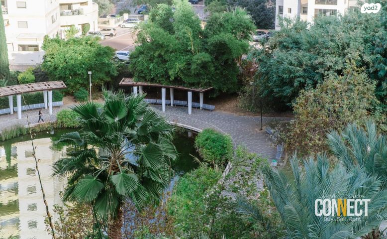 דירה, משה סנה, הדר המושבות החדשה / אם המושבות החדשה, פתח תקווה