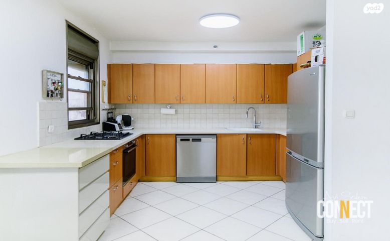 דירה, משה סנה, הדר המושבות החדשה / אם המושבות החדשה, פתח תקווה