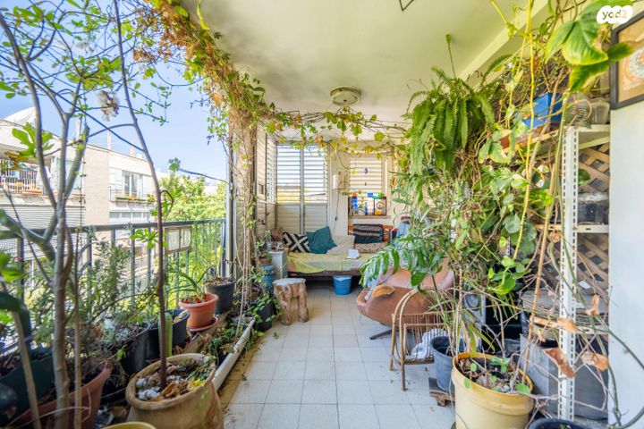 דירה, ביל"ו, תל אביב יפו