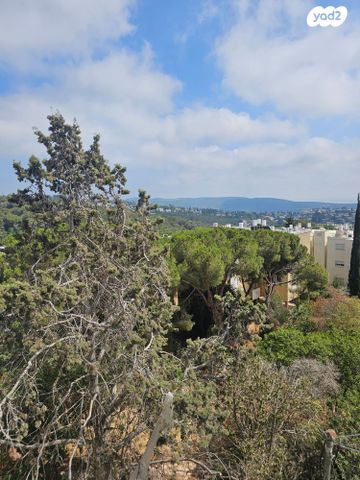 דירה, ליונל ווטסון, רמת בגין, חיפה