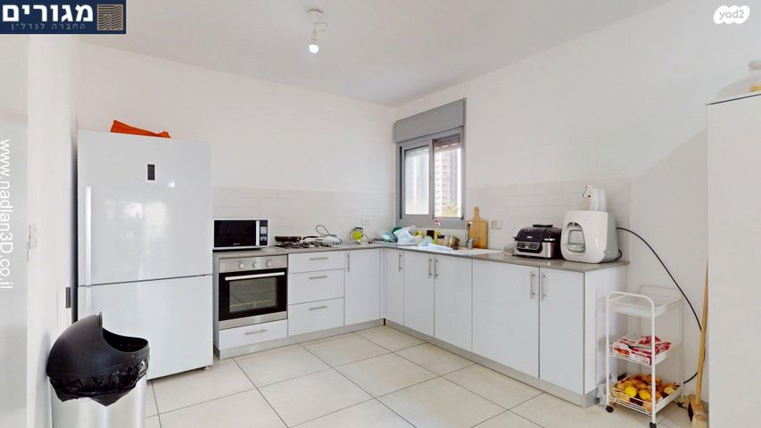 דירה, השחף, החותרים, טירת כרמל