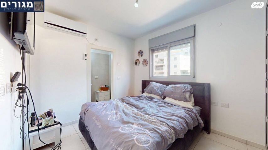 דירה, השחף, החותרים, טירת כרמל